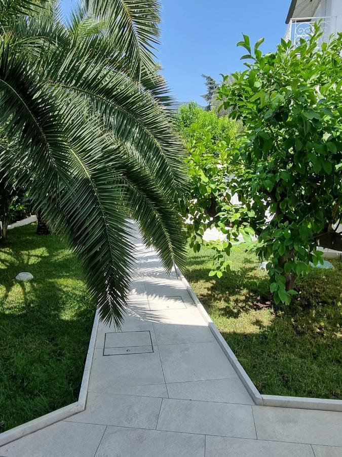 Palms Luxury Suites Sanremo Exterior photo